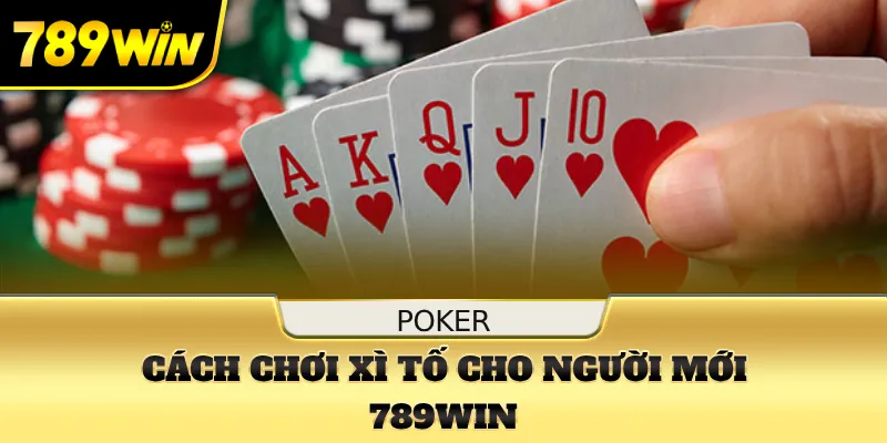Cách chơi xì tố dành cho người mới