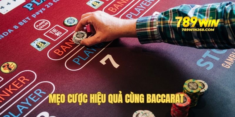 Mẹo cược đơn giản nhưng hiệu quả dành cho người mới