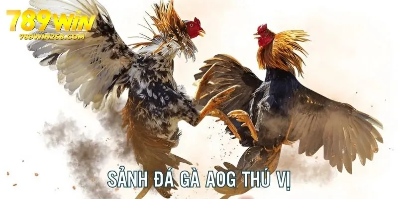 AOG dù còn non trẻ nhưng được đánh giá cao về chất lượng