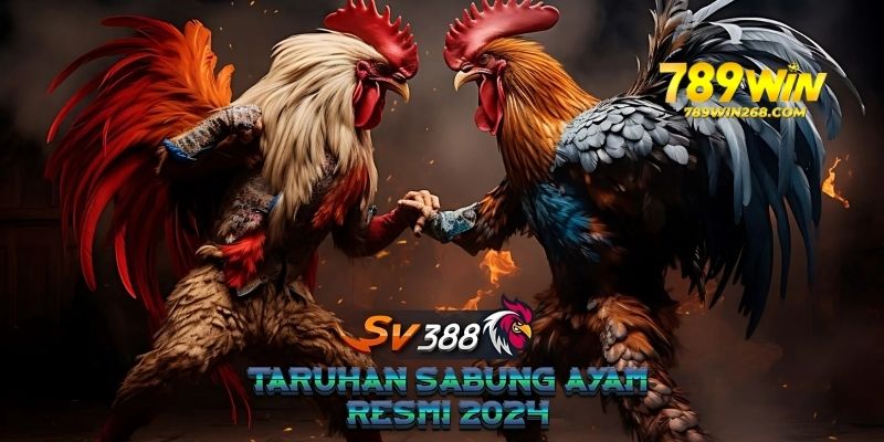 Hệ thống live chất lượng cao chỉ có tại SV388