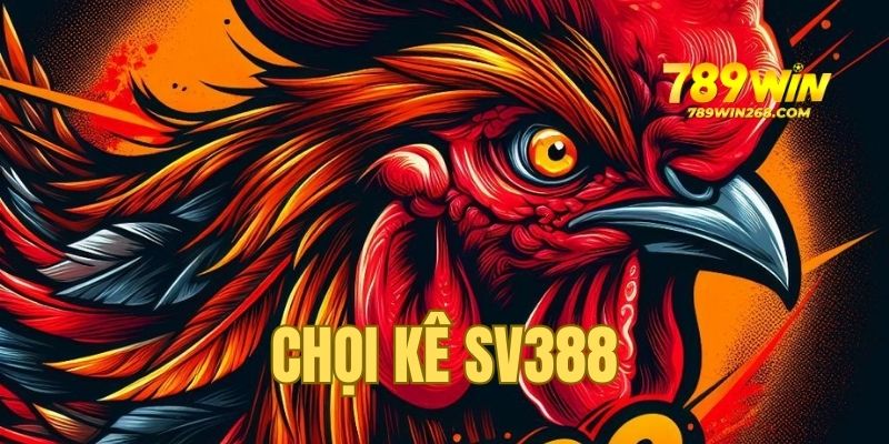 Tham gia đá gà cựa dao ngay hôm nay cùng 789WIN