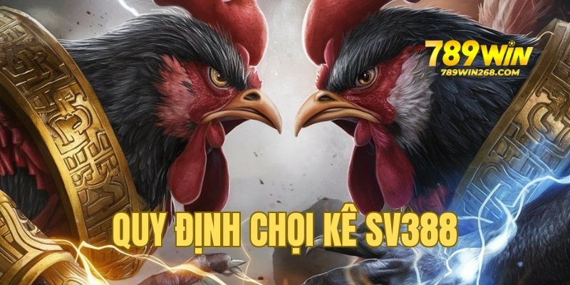Các quy định cần biết khi tham gia đá gà cựa dao SV388