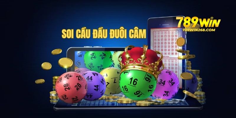 Bí quyết nuôi đề với cầu đầu đuôi câm