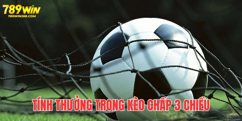 Cách tính thưởng và đọc khá dễ, phụ thuộc 1 phần vào tỷ lệ nhà cái