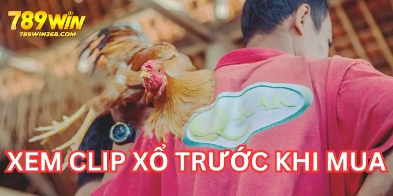 Xem clip xổ gà giúp bạn đánh giá hiệu quả hơn