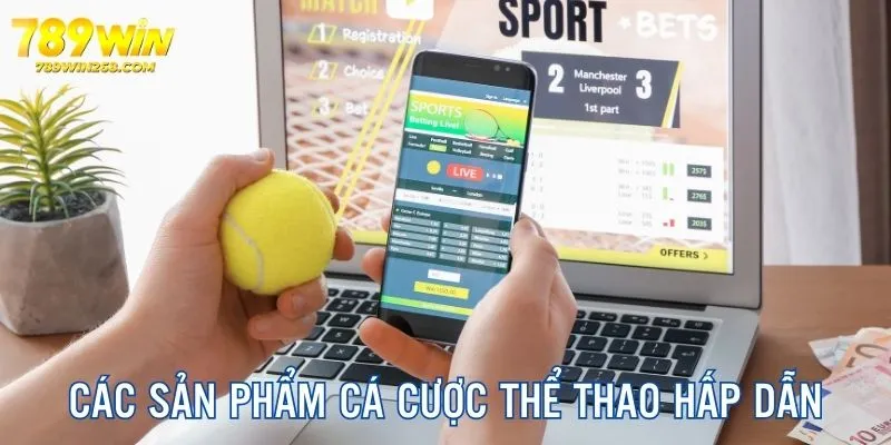 Top 3 sản phẩm cá độ hấp dẫn, hot hit thị trường