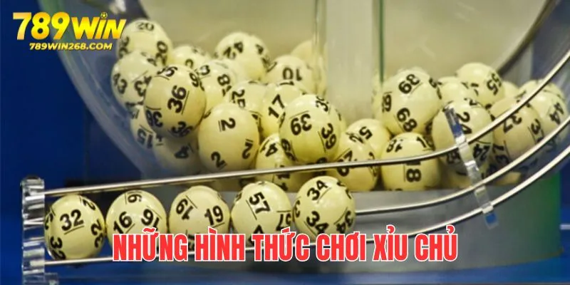 Xỉu chủ là gì - Tìm hiểu các cách đánh xỉu chủ phổ biến trên thị trường 