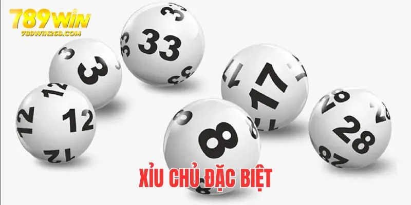 Chủ đặc biệt chỉ chơi ở giải đặc biệt, còn được gọi bằng tên khác là lô 3 càng